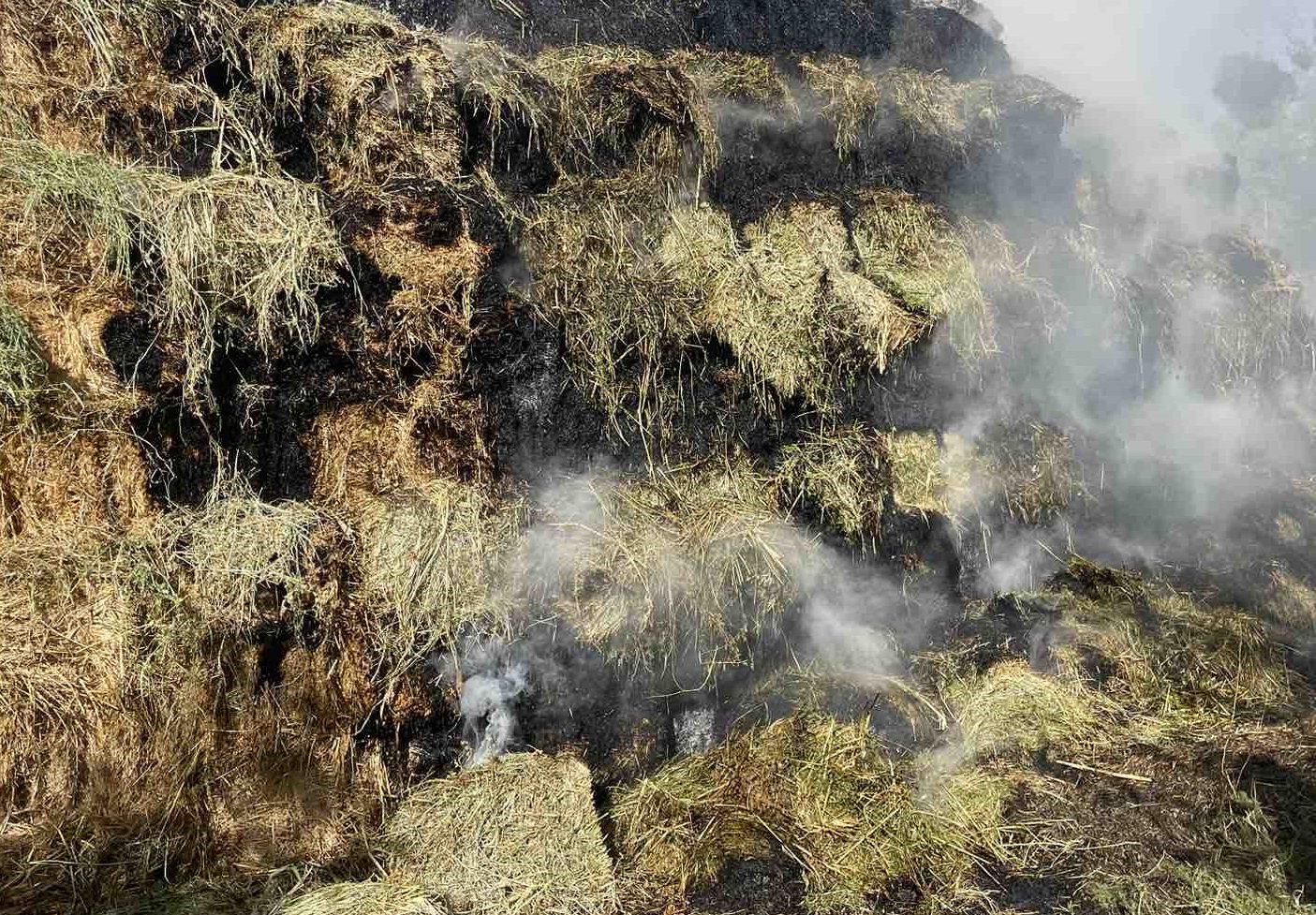Այրվել է մոտ 400 հակ անասնակեր
