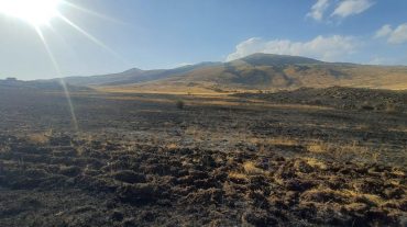 Այրվել է մոտ 6 հա բուսածածկույթ