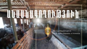 Հացիկ գյուղի 51 և 49-ամյա բնակիչները երկու գառ էին գողացել