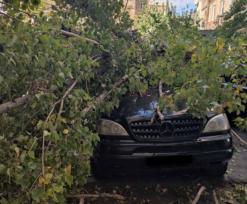 Քամու հետևանքով ծառը արմատախիլ է եղել և ընկել ավտոմեքենայի վրա