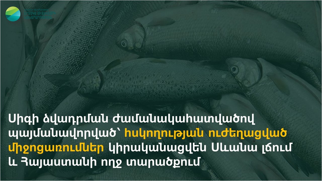 Սիգի ձվադրման ժամանակահատվածով պայմանավորված՝ հսկողության ուժեղացված միջոցառումներ կիրականացվեն Սևանա լճում և Հայաստանի ողջ տարածքում