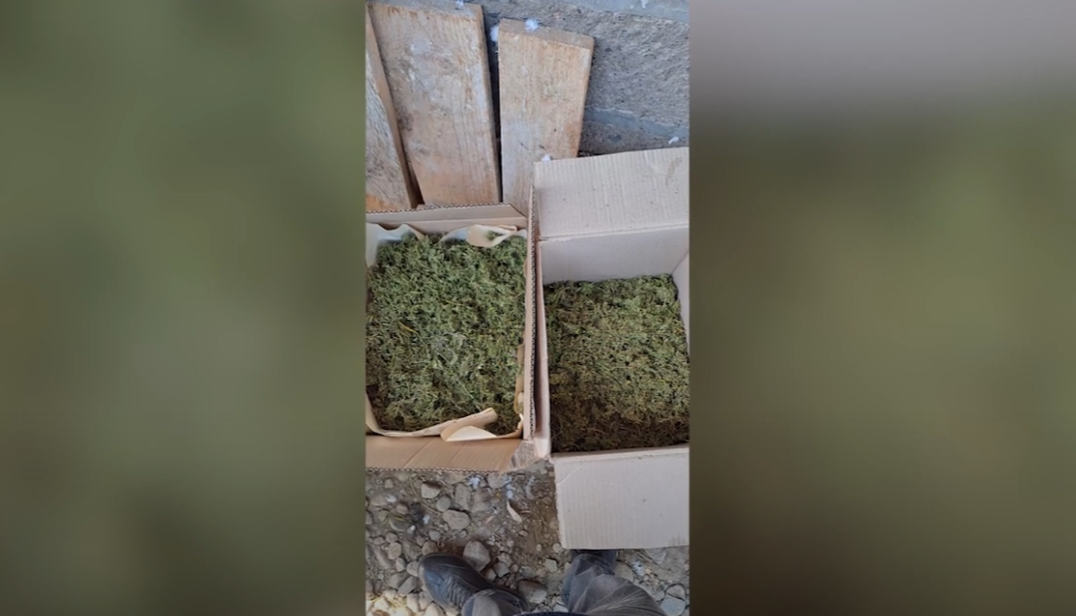 Վաղարշապատի ոստիկանները ապօրինի թմրանյութ պահելու դեպքեր են բացահայտել