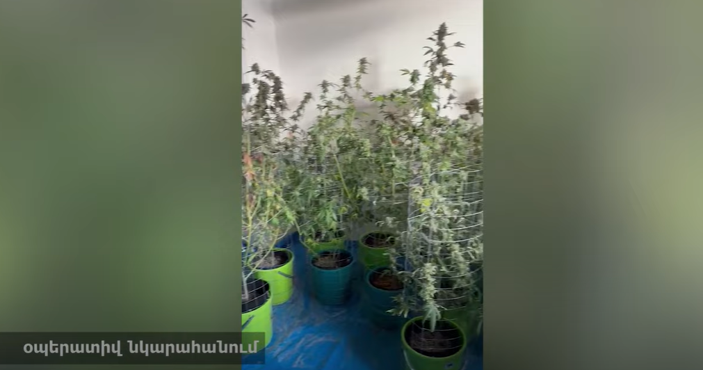 Թմրամիջոցի ջերմոց-սենյակներ Նորքի այգիների փողոցում
