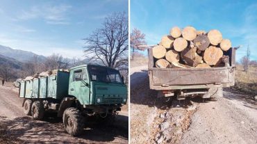 Ոստիկանության պայքարն ապօրինի ծառահատումների դեմ