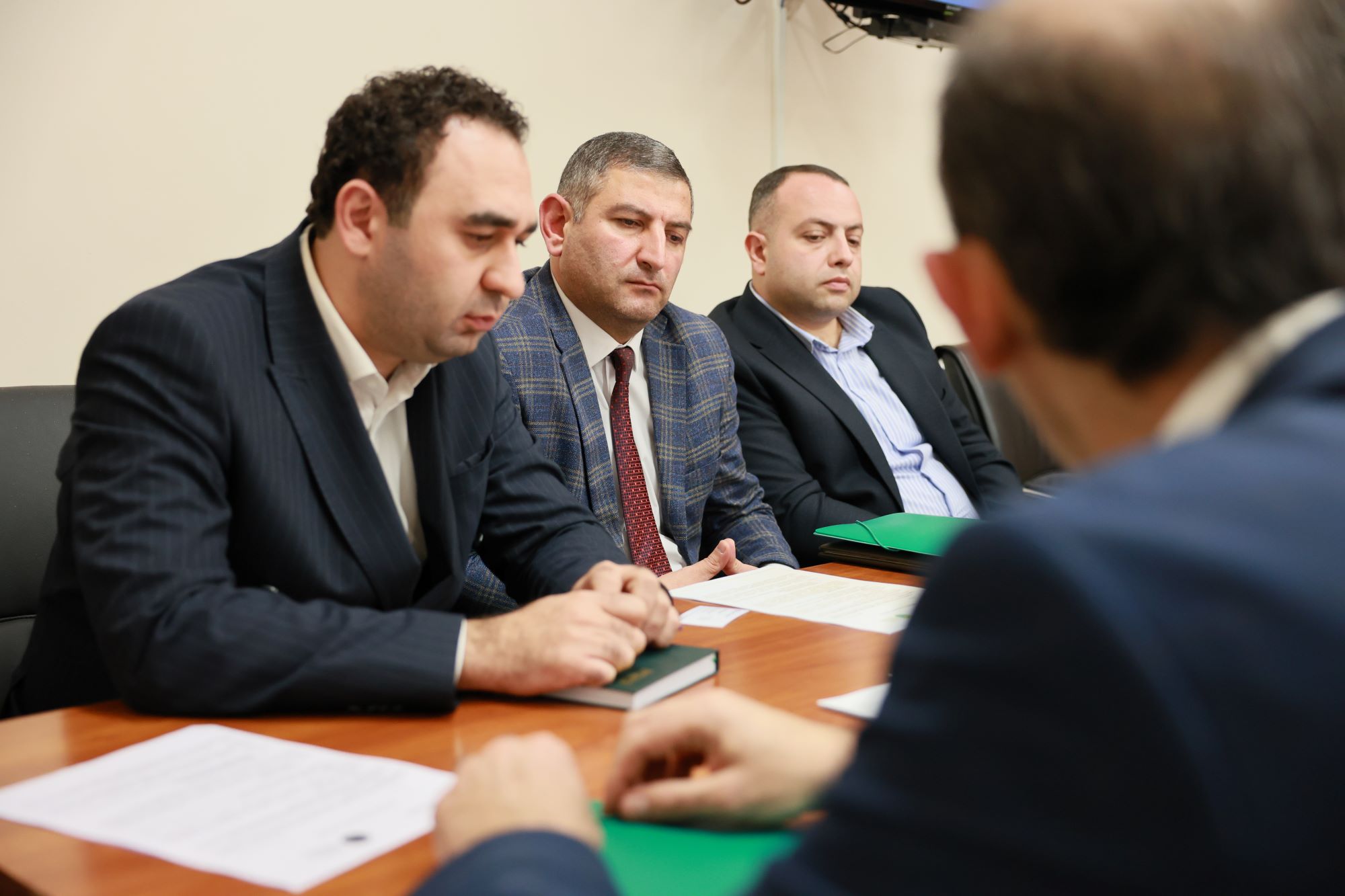 Սերգո Աթանեսյանը ընդունել է «Գրանթ Թորնթոն Քնսալթինգ» ընկերության տնօրենին և Կայուն զարգացման ծրագրերի ավագ խորհրդատուին