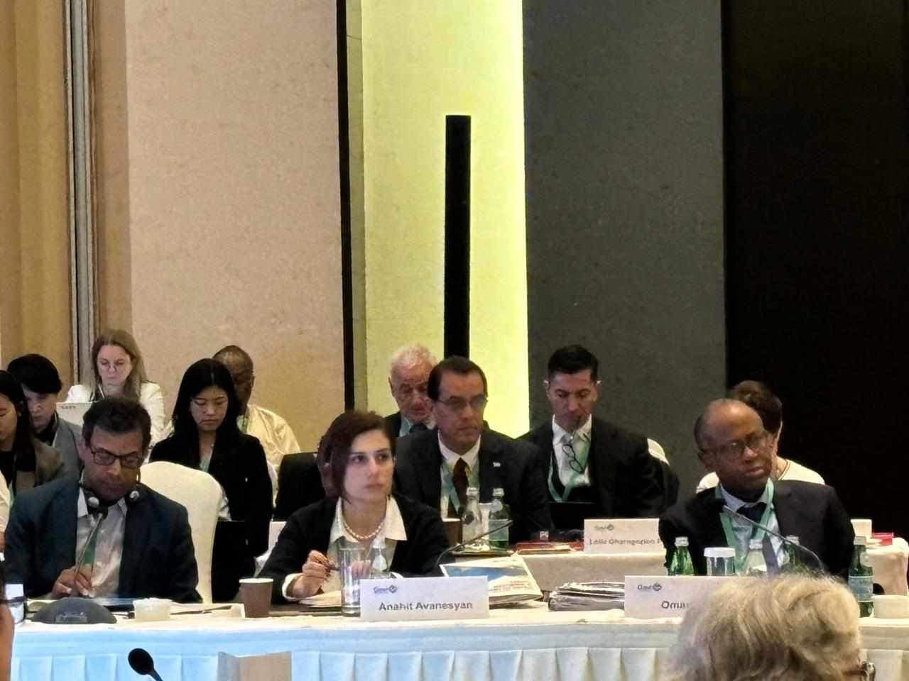Անահիտ Ավանեսյանը մասնակցել է GAVI-ի խորհրդի տարեվերջյան գագաթնաժողովին