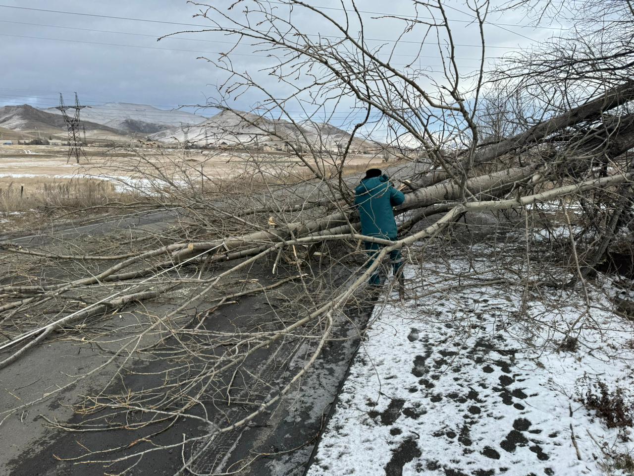 Փրկարարները ծառը հեռացրել են ճանապարհի երթևեկելի հատվածից
