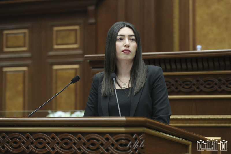 Կվերացվի վարչական իրավախախտում կատարած անձի կողմից իրավախախտման վերացումից հետո նրա նկատմամբ կրկնակի պատասխանատվության բեռ սահմանող դրույթը