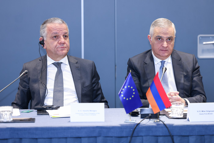 Փոխվարչապետ Գրիգորյանը շնորհակալություն է հայտնել ԵՄ-ին, քննարկել համագործակցության հարցեր