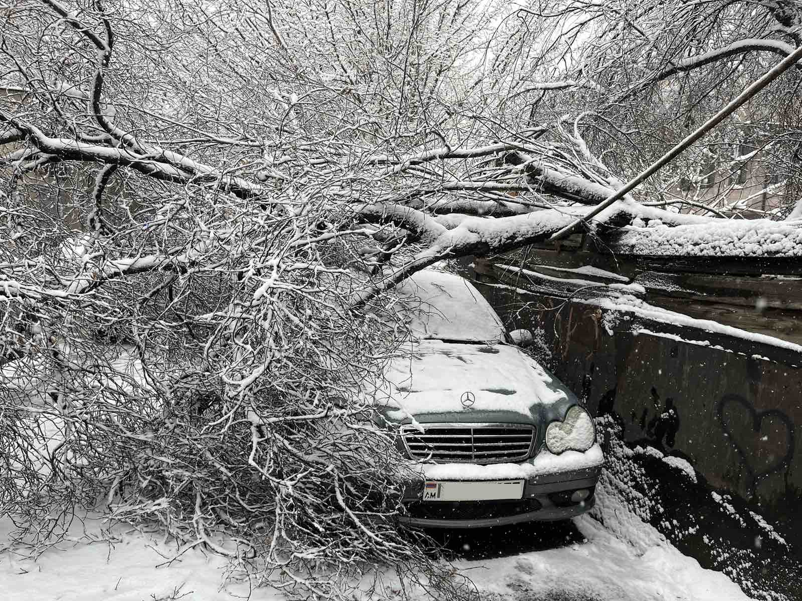 Ծառը կոտրվել և ընկել էր ավտոմեքենայի վրա