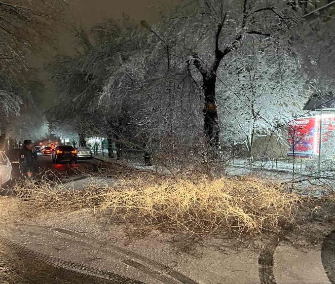 Փրկարարները մասնատել են տապալված ծառը և հեռացրել ճանապարհի երթևեկելի հատվածից