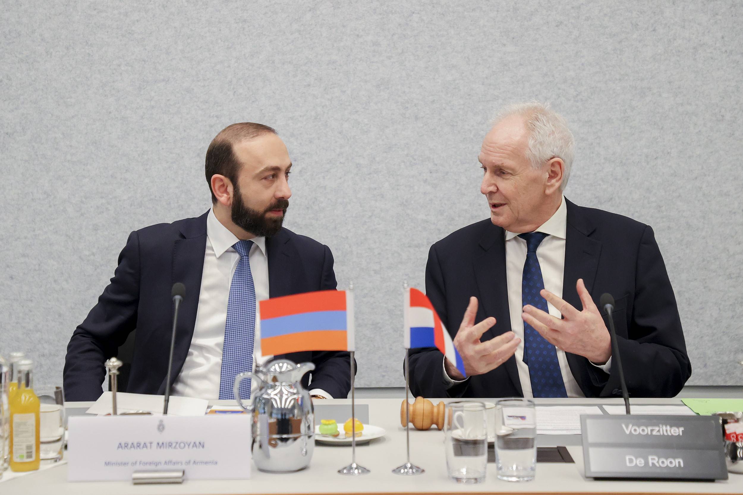 Արարատ Միրզոյանը հանդիպում է ունեցել Նիդերլանդների խորհրդարանի արտաքին հարաբերությունների մշտական հանձնաժողովում
