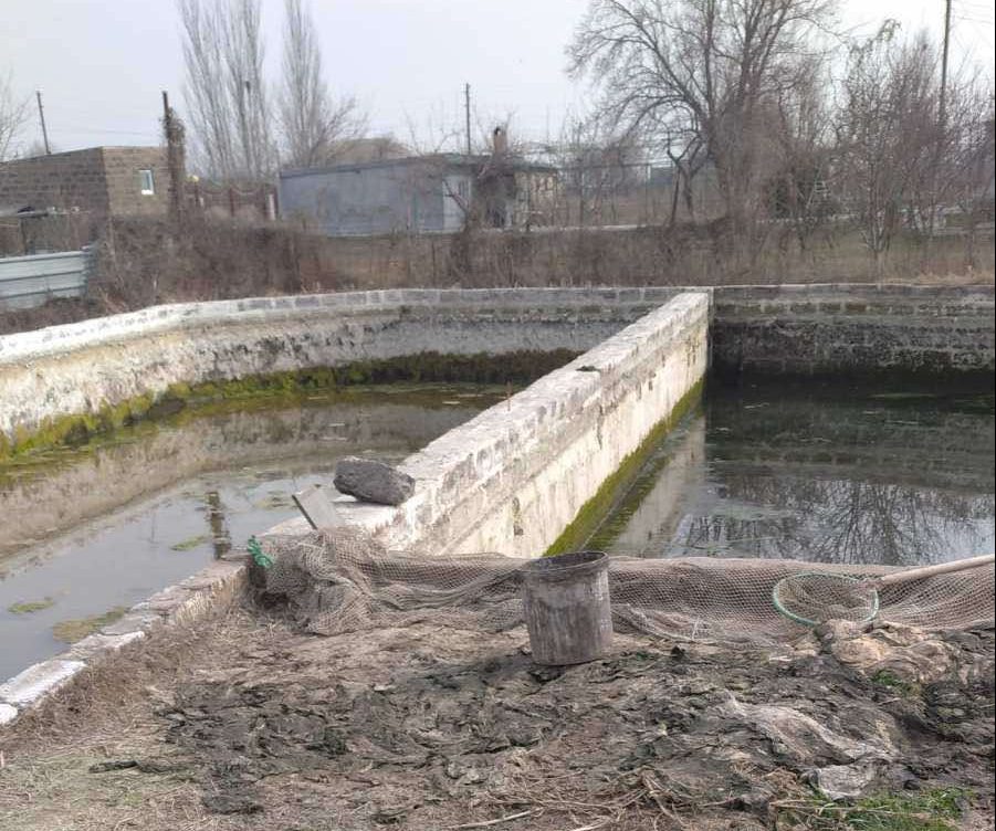 Ապօրինի 7 հորի կասեցում՝ ձկնաբուծարաններում
