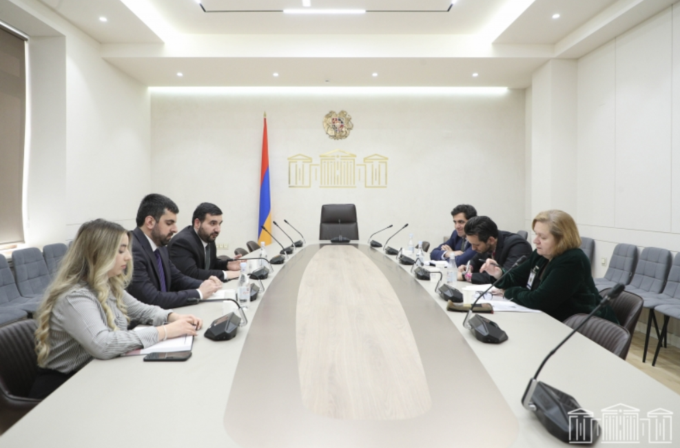 Սարգիս Խանդանյանն ու Վահագն Ալեքսանյանը հանդիպել են «Ազգային ժողովրդավարության ինստիտուտի» Եվրասիայի տարածաշրջանային տնօրենի հետ