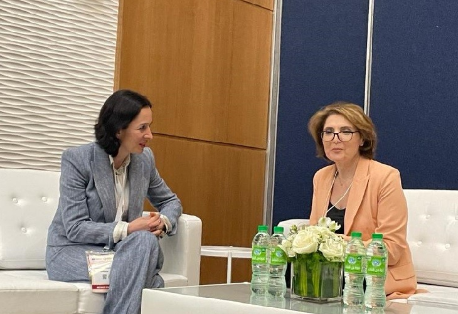 Ժաննա Անդրեասյանը հանդիպել է Վրաստանի խորհրդարանի մշակույթի մշտական հանձնաժողովի նախագահ Էլիսո Բոլկվաձեի հետ