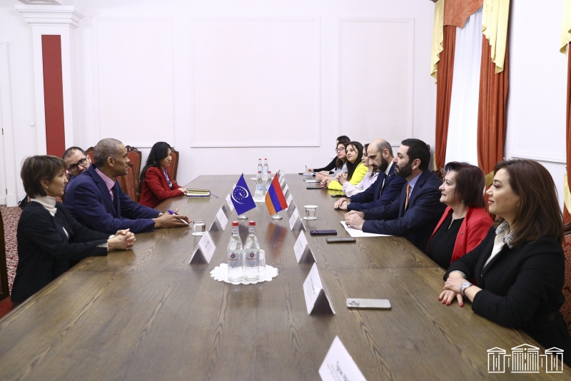 Խորհրդարանականները հանդիպել են ԵԽ երևանյան գրասենյակի ղեկավարի պաշտոնակատարի գլխավորած պատվիրակության հետ