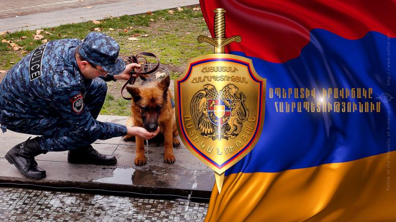 Մեկ օրում ոստիկանները հայտնաբերել են հանցագործության 130 դեպք