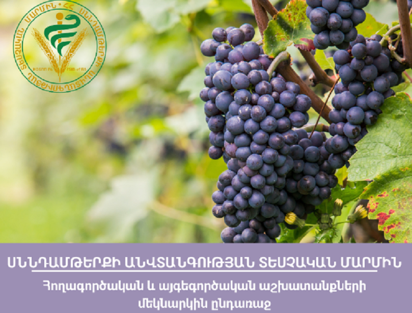 ՀՀ-ում աճեցված մշակաբույսերում հայտնաբերվել են պեստիցիդների մնացորդային նյութերի սահմանային թույլատրելի քանակության գերազանցման դեպքեր. ՍԱՏՄ