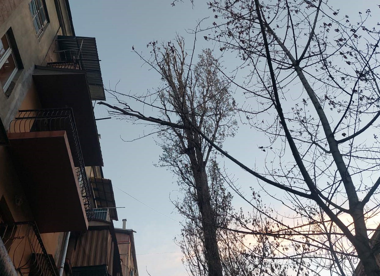 Քամու հետևանքով վնասներ՝ մայրաքաղաքում