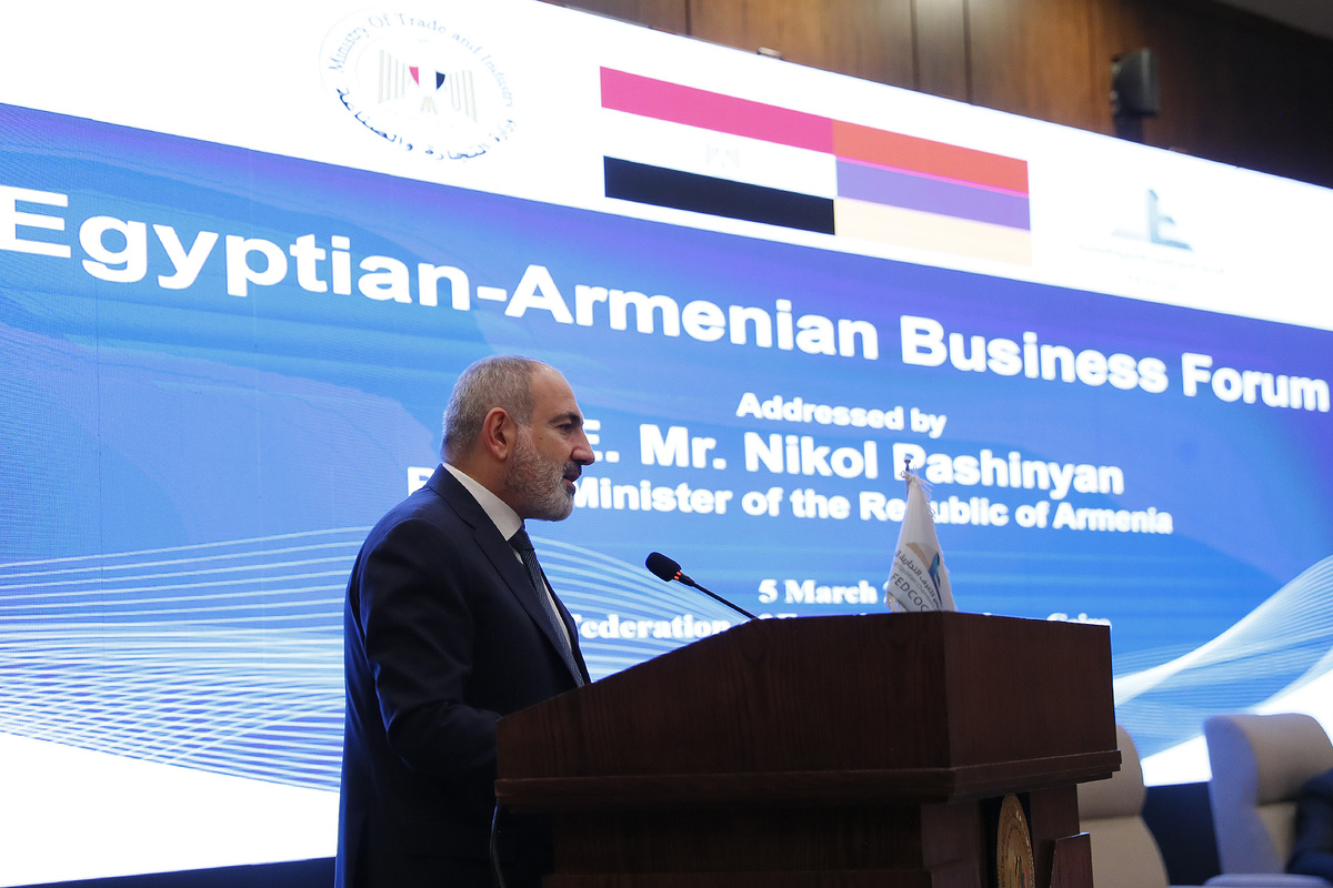 Նիկոլ Փաշինյանը եգիպտացի գործարարների հետ հանդիպմանը ներկայացրել է Հայաստանի ներդրումային հնարավորությունները