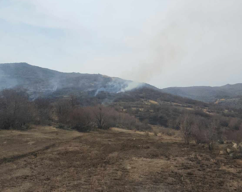 Այրվել է մոտ 30 հա խոտածածկույթ