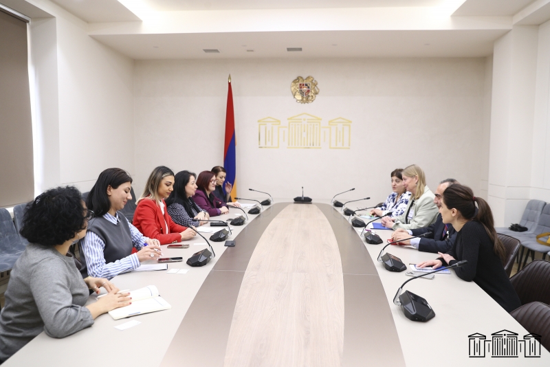 Քննարկվել են խոցելի խմբերի կյանքի բարելավմանը միտված ծրագրի շրջանակում իրավասու հանձնաժողովի հետ համագործակցության ձեւաչափերը
