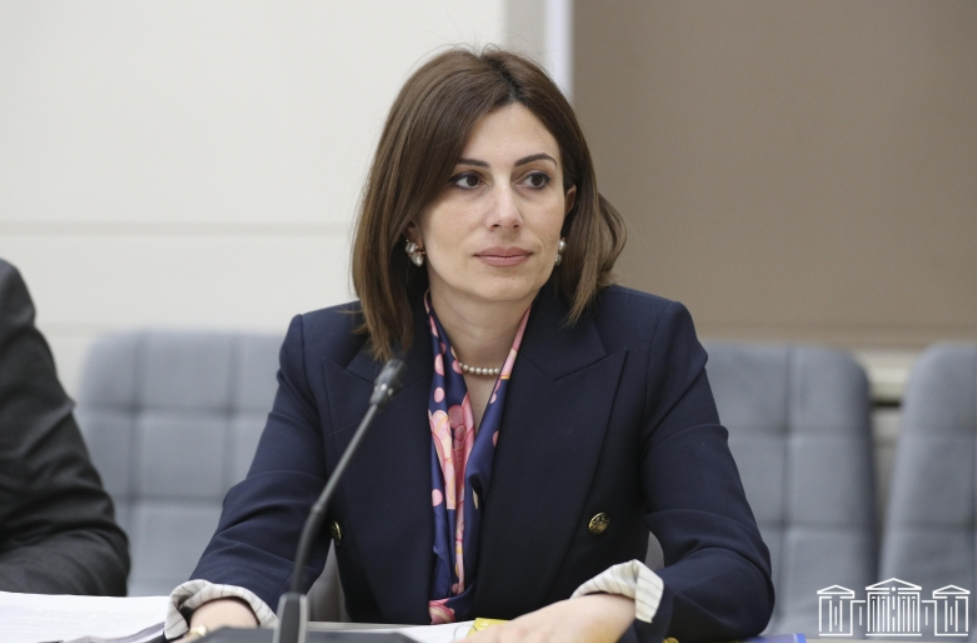 Քննարկվել են 2023 թ. առողջապահության ոլորտում իրականացված միջոցառումներն ու ծրագրերը