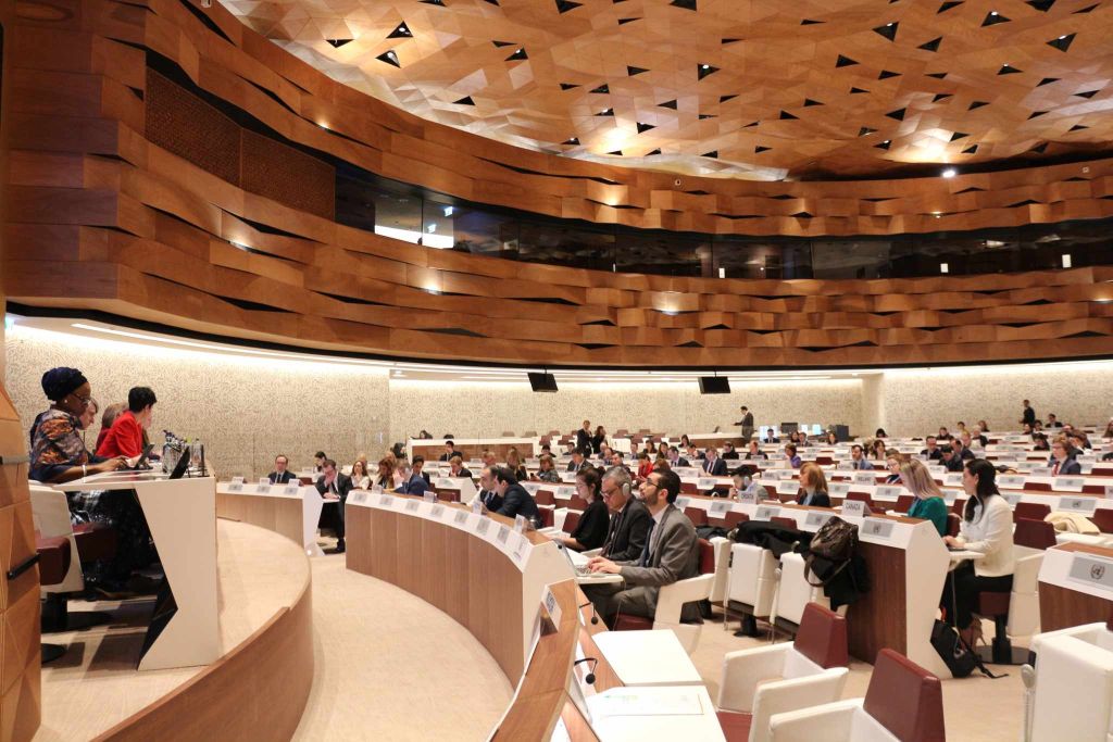 Հայաստանը շարունակաբար ջանքեր է գործադրել 2 համաշխարհային հռչակագրերի նպատակներին հասնելու համար. ՆԳՆ