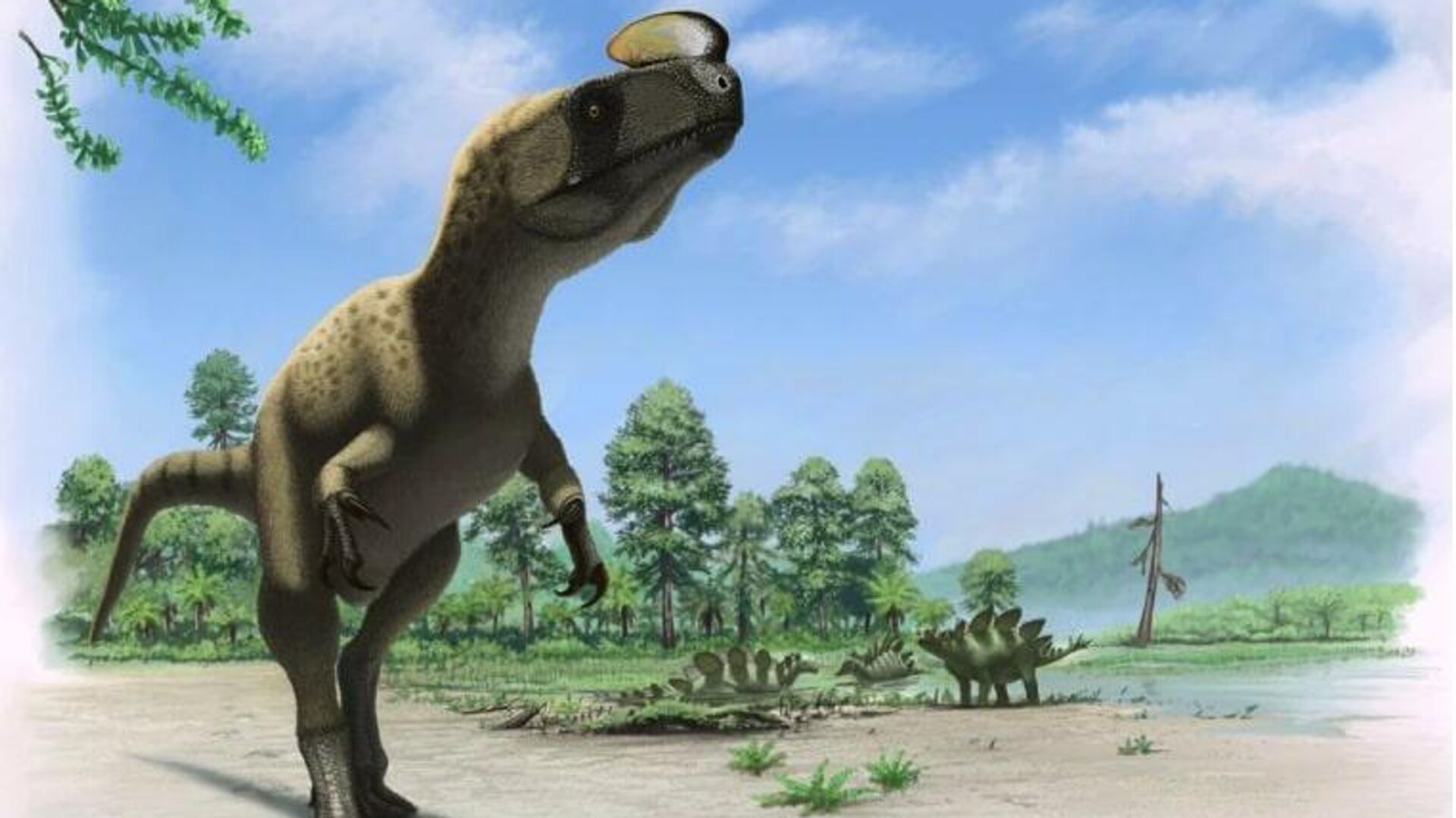 Տոմսկի գիտնականները կուսումնասիրեն դինոզավրերի միգրացիոն ուղիները՝ օգտագործելով նրանց ստամոքսի քարերը
