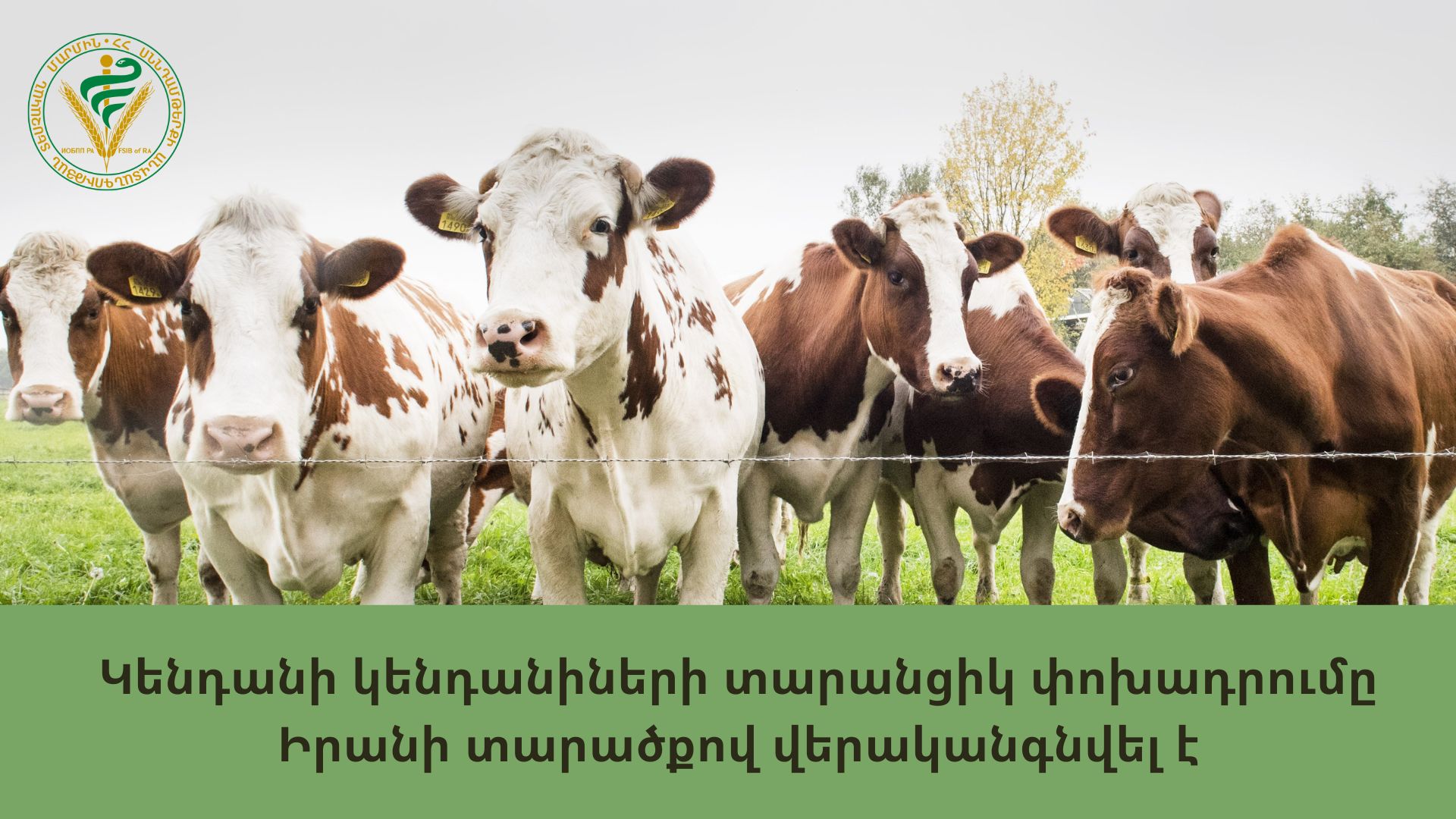 Իրանը վերականգնել է երկրի տարածքով Հայաստանից խոշոր եղջերավոր կենդանիների տարանցիկ փոխադրումը