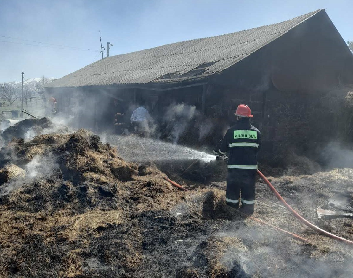 Տաշիր քաղաքում անասնագոմ է այրվել