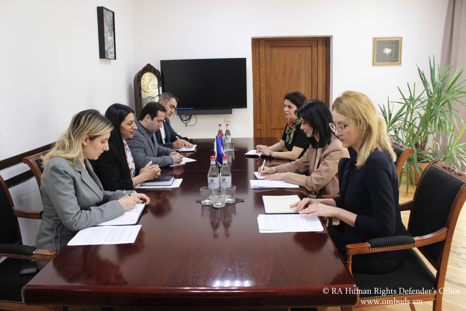 Անահիտ Մանասյանը բարձր է գնահատել Եվրոպայի խորհրդի հետ ձևավորված սերտ համագործակցությունը