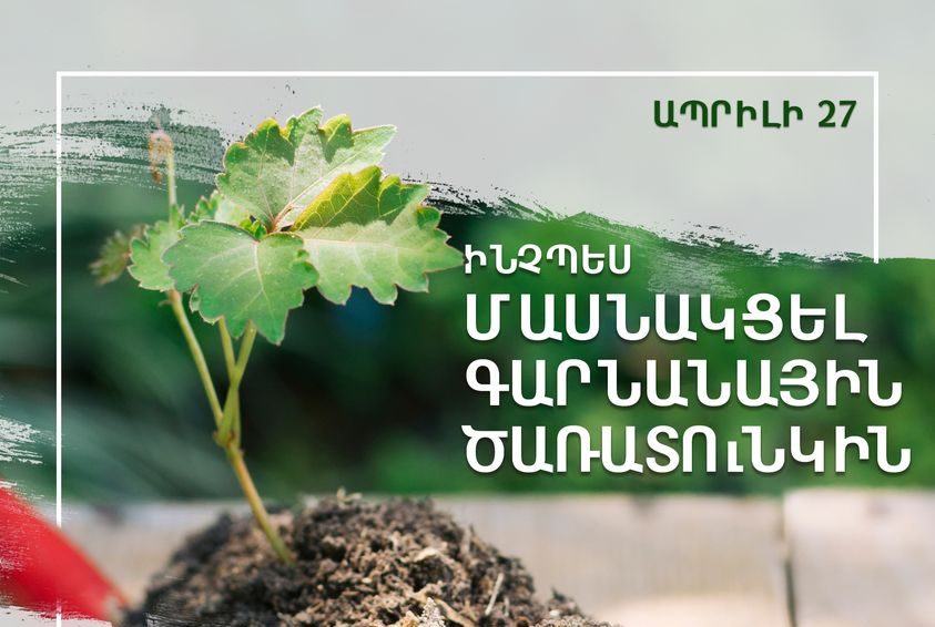 Ապրիլի 27-ին կիրականացվի գարնանային ծառատունկ․ ինչպես մասնակցել