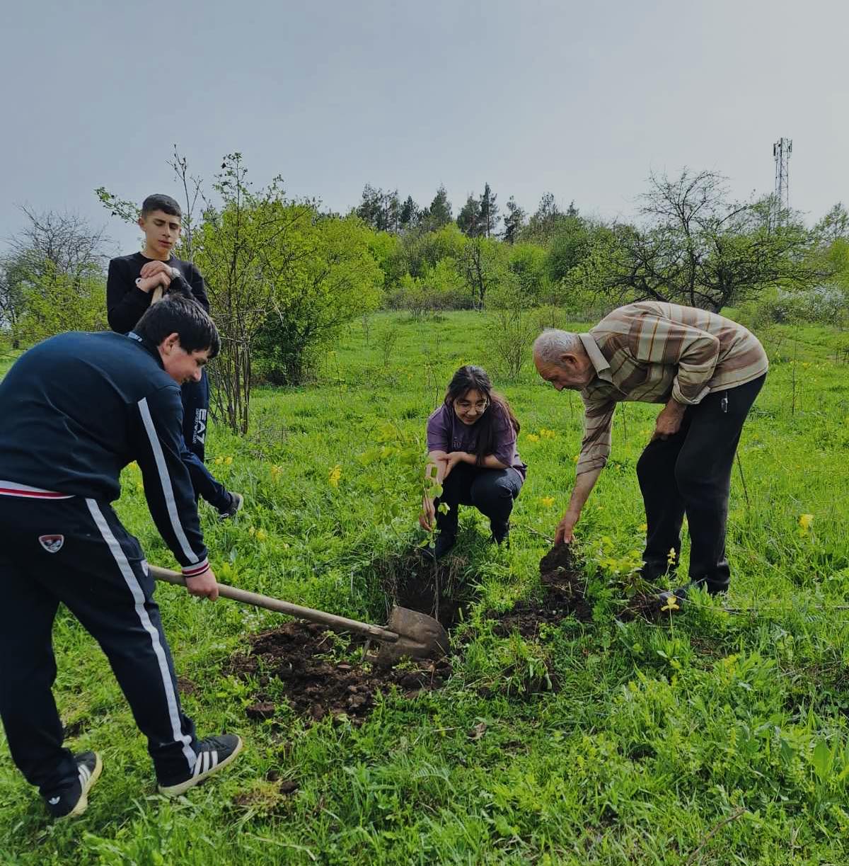 Շրջակա միջավայրի նախարարության ենթակա ՊՈԱԿ-ների տարածքներում իրականացվել է ծառատունկ