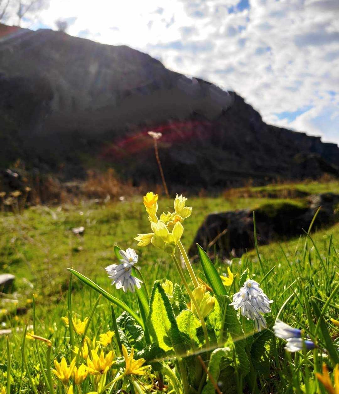 Առաջիկա հինգ օրվա եղանակային կանխատեսումը