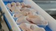 Թուրքիան ծրագրում է արգելել հավի մսի արտահանումը
