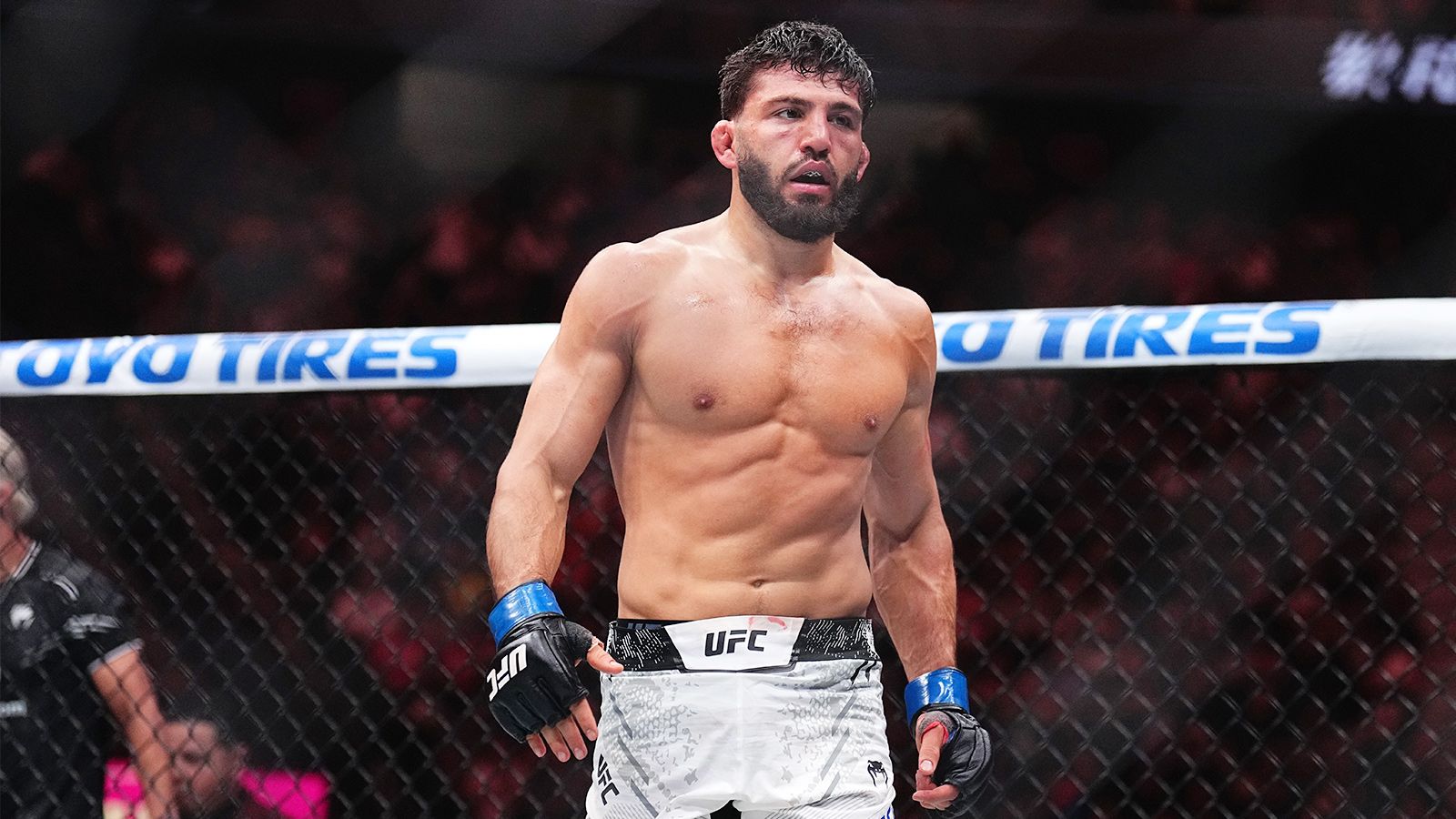 Արման Ծառուկյանը՝ UFC-ի դասակարգման առաջատար