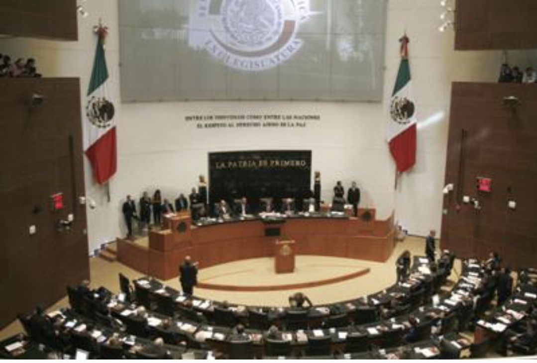 Մեքսիկայի Սենատը հաստատել է պատիժը սեռափոխության թերապիայի համար