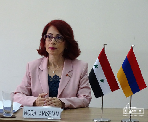 Եթե Թուրքիան պատժված լիներ Հայոց ցեղասպանության համար, չէր շարունակի ահաբեկչական գործողությունները Սիրիայում. Նորա Արիսյան