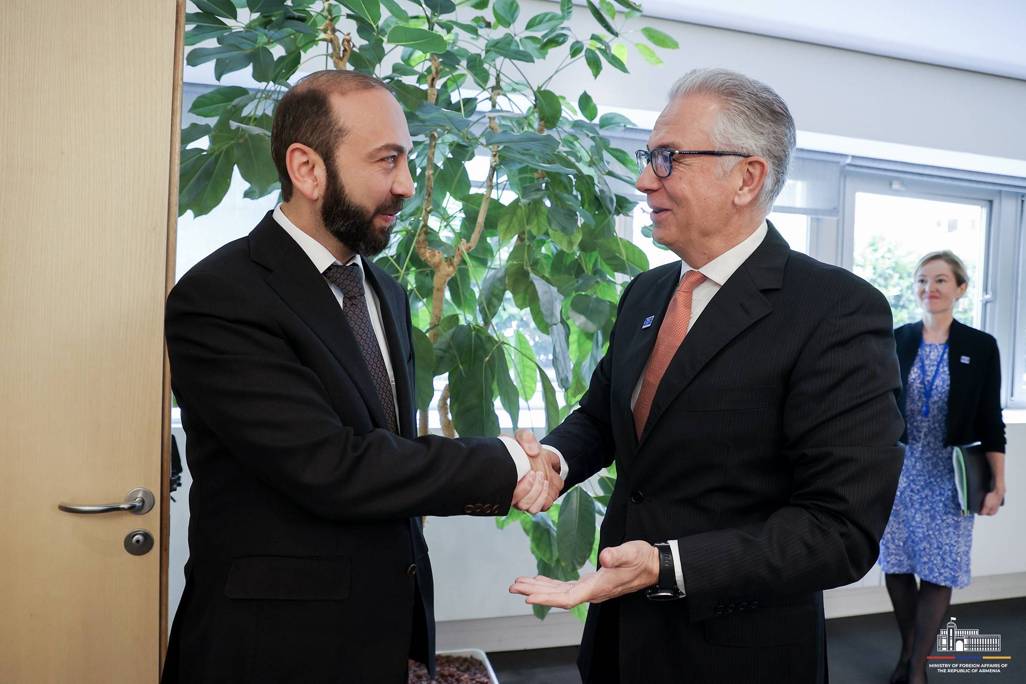 Արարատ Միրզոյանը հանդիպել է ԵԽԽՎ նախագահի հետ