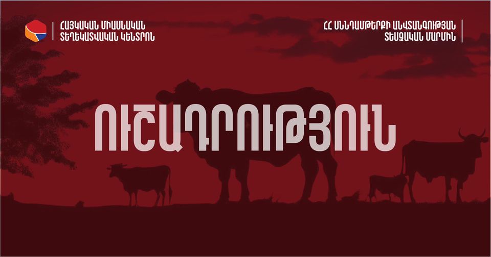Աղետի գոտիներում առկա են անկած կենդանիներ. ՍԱՏՄ հորդորը