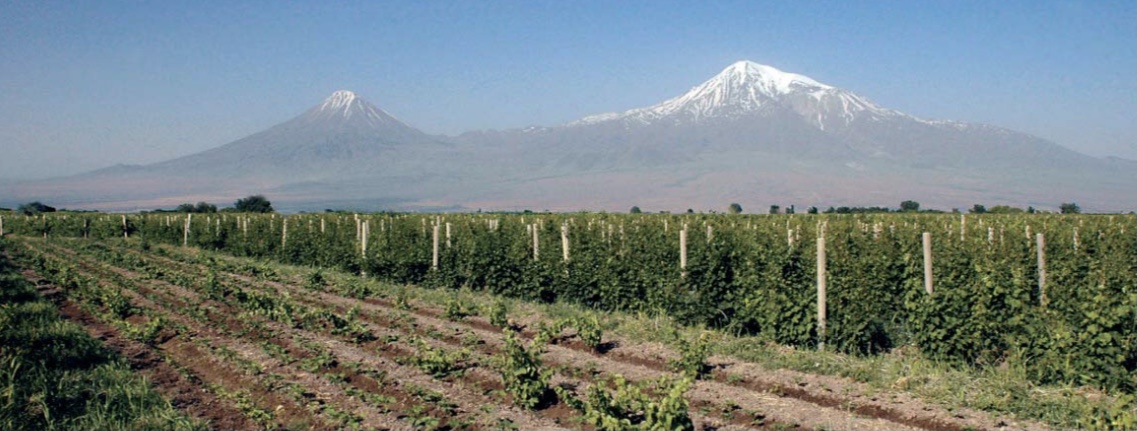 Կբարելավվեն գյուղատնտեսական վարկերի սուբսիդավորման ծրագրի պայմանները