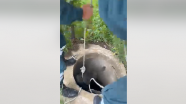 Փրկարարները շանը դուրս են բերել արգելափակումից