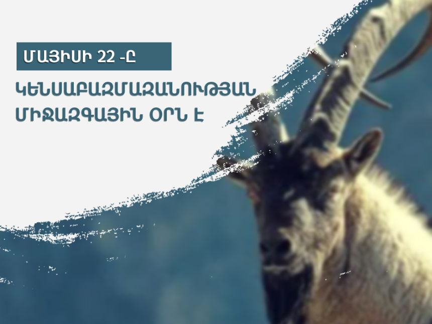 Մայիսի 22-ն ամբողջ աշխարհում նշվում է որպես Կենսաբազմազանության օր