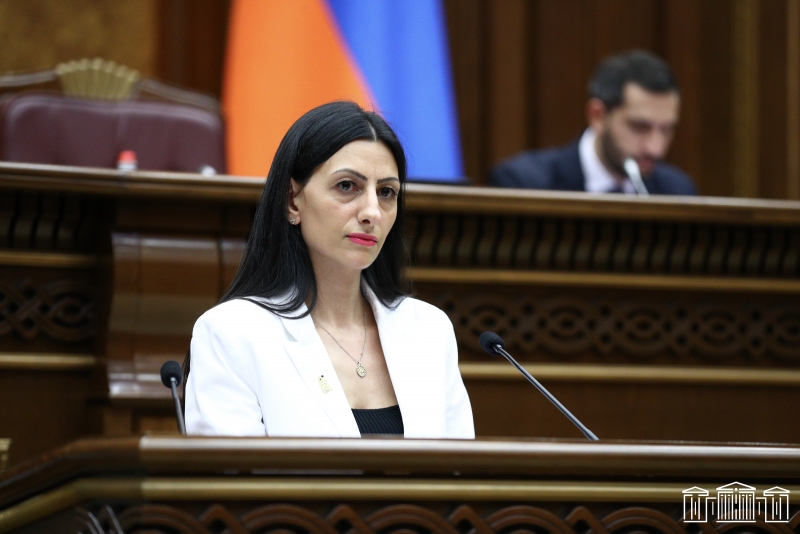 Խորհրդարանը քննարկել է ՄԻՊ տարեկան հաղորդումը և զեկույցը