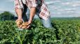 Մեկնարկել է 2024 թվականի գյուղատնտեսության ապահովագրության գործընթացը