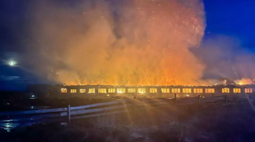 Պերմի մարզում անասուններով ֆերմա է այրվել