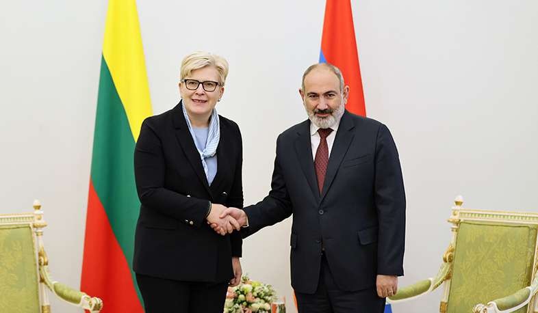 Մենք անկեղծորեն գնահատում ենք Լիտվայի համերաշխությունը. Փաշինյան