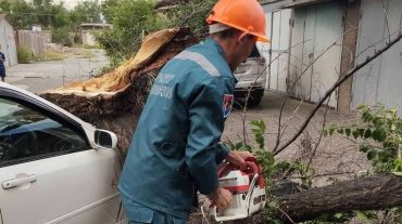 Փրկարարները ծառի կոտրված ճյուղը հեռացրել են  ավտոմեքենայի վրայից