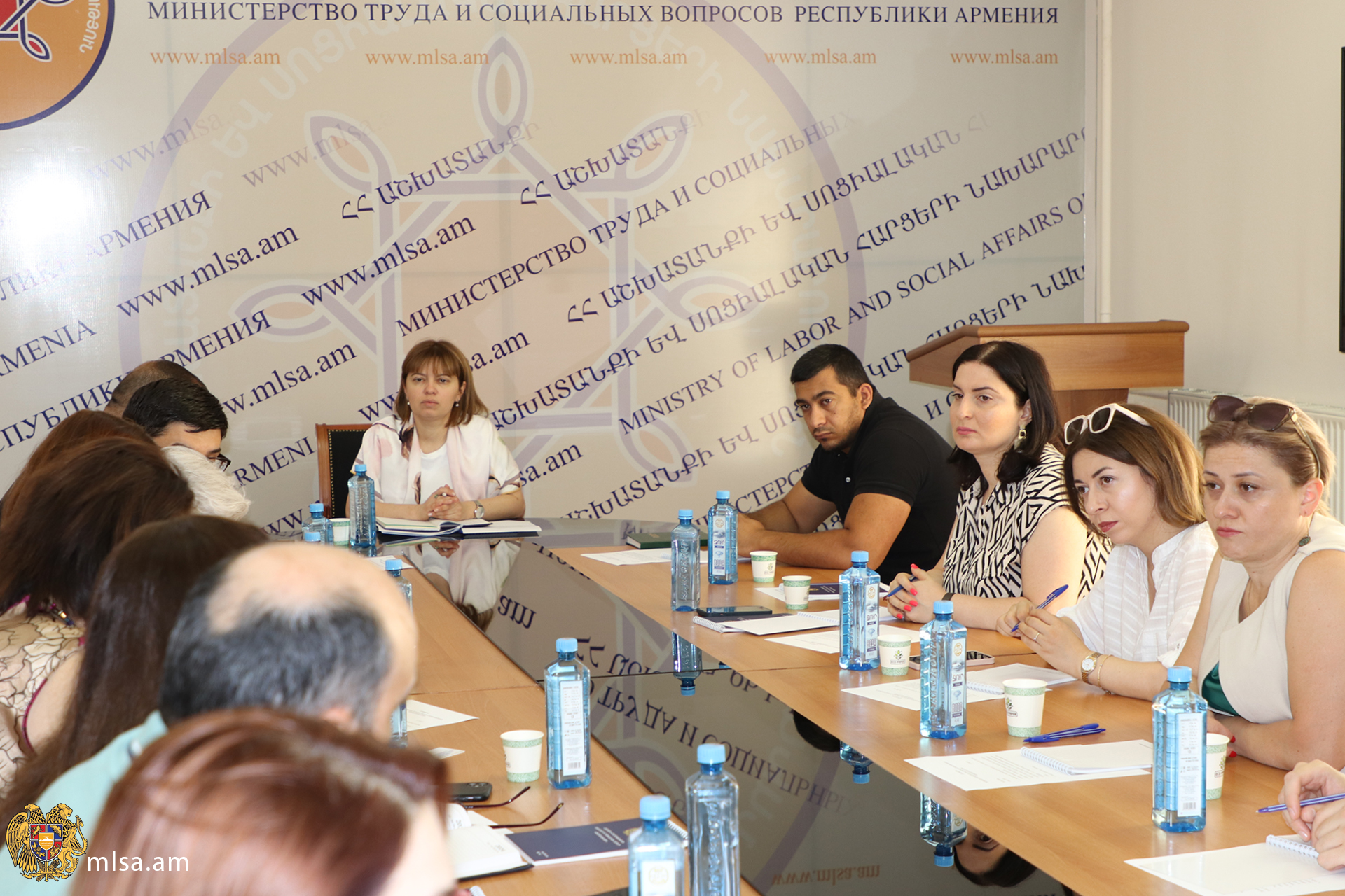 Տեղի է ունեցել Տարեցների հիմնախնդիրներով զբաղվող միջգերատեսչական հանձնաժողովի նիստը